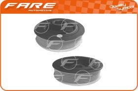 FARE 2999 - POLEA CIGUENAL
