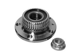 Ijs Group 101107 - KIT DE RUEDA