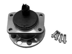 Ijs Group 101243 - KIT DE CADENA