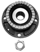 Ijs Group 101411 - KIT DE CADENA