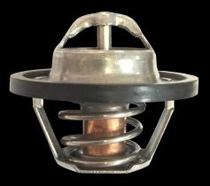 3RG Industrial 81649 - TERMOSTATO
