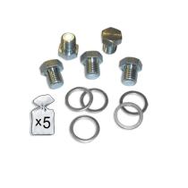 JBM 51401 - SET DE REPUESTOS REPARACIÓN CÁRTER M17X1.5P