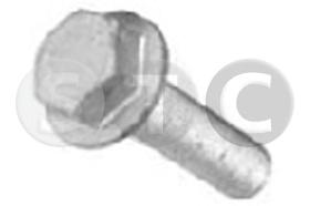 STC T402255 - TORNILLO POLEA CIGUENAL RENAULT 1.9 DTI