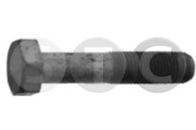 STC T402261 - TORNILLO POLEA CIGUENAL BOXER2.5D/TD