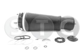 STC T442946 - *** MUELLE NEUMáTICO DELANTERO DERECHO RANGE ROVER 3