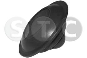 STC T493875 - CLIP LISTON FIAT DUCATO