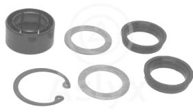 ASLYX AS100286 - CJTO REPARACIóN CREM R-4