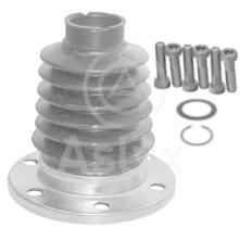 ASLYX AS101106 - KIT FUELLE L/CBO GOLF-4