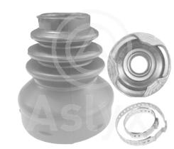 ASLYX AS101110 - KIT L/CBO 307-407