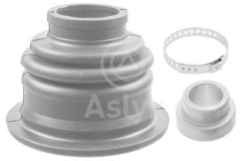 ASLYX AS102304 - KIT L/CBO R-LAGUNA-SAFRANE ROD