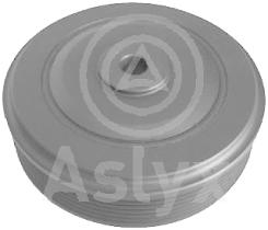 ASLYX AS104577 - POLEA CIGUENAL ESPACE-III 2.0