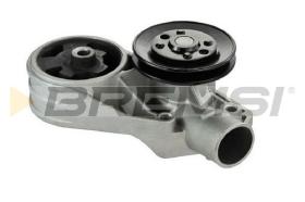 BREMSI WP0101 - W. PUMP SKODA