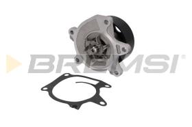 BREMSI WP0262 - W. PUMP RENAULT, NISSAN