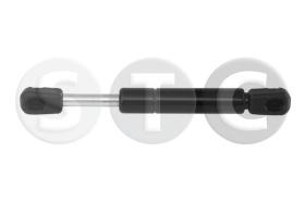STC T446227 - MUELLE NEUMáTICO MALETERO MEGANE