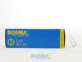 BOSMA 5012436 - T15 - 12V 16W 0672